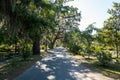 Quiet road winds through the historic Bonaventure Cemetery in Savannah Georgia