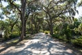 Walking trails cross the Bonaventure Cemetery in Savannah Georgia