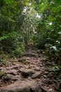 Walking trails with small and large rocks in the green forest Royalty Free Stock Photo