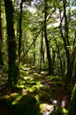 Walking the Travers Sabine Circuit