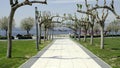 Walking among the trees in Konak Izmir near the clock tower and Ship`s bone sculputre which made b