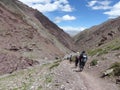 Walking trekkers in the valley of Markah in Ladakh, India. Royalty Free Stock Photo