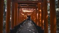 Walking under the torii doors of the famous Fushimi Inari shrine in Kyoto, Japan