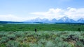 Walking in the valley with panoramic Grand Teton Mountain views in front of Jackson Lake Lodge Royalty Free Stock Photo