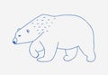 Walking or wandering polar bear hand drawn with blue contour lines on white background. Sad and fierce cartoon wild