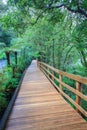 Walking way in evergreen forest trail to milfordsound important Royalty Free Stock Photo