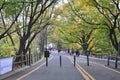 Walking way to the Seoul Tower