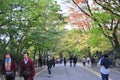 Walking way to the Seoul Tower
