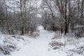 Walking way in the winter nature in city sumy in Ukraine. Winter trees covered with snow and a snowy trail in forest background Royalty Free Stock Photo