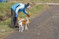 Walking woman with basenji dog stroking stray canine nursing mother