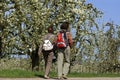 Walking women and trees with blossoms in Betuwe Royalty Free Stock Photo