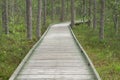 Walking, wooden path in the forest for rest and walks Royalty Free Stock Photo