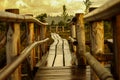 Walking wooden path on a swamp trail