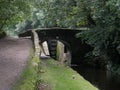 Walking on yorkshire moors. Royalty Free Stock Photo