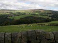 Walking on yorkshire moors. Royalty Free Stock Photo