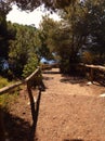 Walkpath in Elba island, Italy