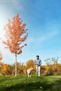 Walks are best when theres a pup by your side. a young man taking his dog for a walk through the park. Royalty Free Stock Photo