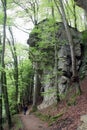 Walks in the Nature `Mullerthal` Luxembourg