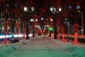 Walks on a night alley Royalty Free Stock Photo