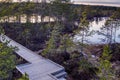 Walks through a swamps along a wooden trail among moss and pines. Nature reserve in Estonia. Royalty Free Stock Photo