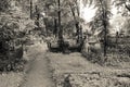 Walkway through abandoned cemetery between graves and tombs. Royalty Free Stock Photo