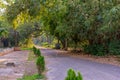 Walkway through the Acharya Jagadish Chandra Bose Indian Botanic Garden of Shibpur, Howrah near Kolkata Royalty Free Stock Photo