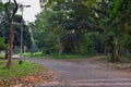 Walkway through the Acharya Jagadish Chandra Bose Indian Botanic Garden of Shibpur, Howrah near Kolkata Royalty Free Stock Photo