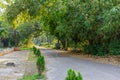 Walkway through the Acharya Jagadish Chandra Bose Indian Botanic Garden of Shibpur, Howrah near Kolkata Royalty Free Stock Photo