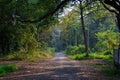 Walkway through the Acharya Jagadish Chandra Bose Indian Botanic Garden of Shibpur, Howrah near Kolkata Royalty Free Stock Photo