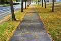 A paved walkway with fall color leaves on the ground Royalty Free Stock Photo