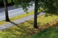 A paved walkway with fall color leaves on the ground Royalty Free Stock Photo