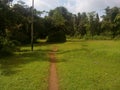 Walkway along natural lawns in Konkan India Royalty Free Stock Photo