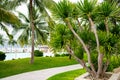 Walkway along tall coconut palm trees, large ocean view swimming pool with lounge chair, collapsed beach umbrella, tropical garden Royalty Free Stock Photo