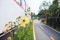 Walkway along the train on discontinued rairoad