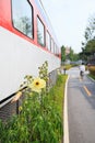 Walkway along the train on discontinued rairoad