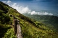 Walkway in the alpine grassland