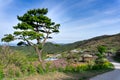 Walkway around the hillside in Hwangmaesan Country Park Royalty Free Stock Photo