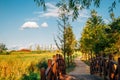 Walkway with autumn natural scenery at Baramsae Village Picnic Garden in Pyeongtaek, Korea Royalty Free Stock Photo