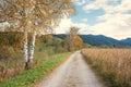 Autumnal walkway through moor landscape upper bavaria
