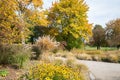 Walkway in autumnal park Westpark Munich, flowerbed and trees with colorful leaves