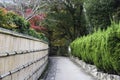 Walkway bamboo Grove at Arashiyama in Kyoto, Japan