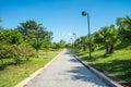 Walkway in beautiful tropical garden landscape in nature city park in summer season sunny day with blue sky white clouds. Royalty Free Stock Photo