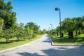 Walkway in beautiful tropical garden landscape in nature city park in summer season sunny day with blue sky white clouds. Royalty Free Stock Photo