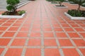 Walkway block tiles floor texture sandstone Royalty Free Stock Photo