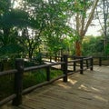 Walkway bridge inside a national park