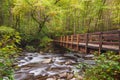 Little Pigeon River in the Pigeon Forge, Great Smoky Mountains national park