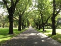 Walkway, Carlton Gardens, Melbourne, Australia Royalty Free Stock Photo