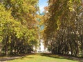 Walkway, Carlton Gardens, Melbourne, Australia Royalty Free Stock Photo