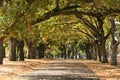 Walkway, Carlton Gardens, Melbourne, Australia Royalty Free Stock Photo