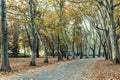 Walkway in central park of Budapest city in autumn season Royalty Free Stock Photo